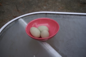 Three eggs!